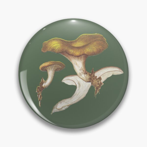 Item preview, Scientific illustration of a mushroom (Pleurotus Eryngü)  designed and sold by Chricrou-eddie.
