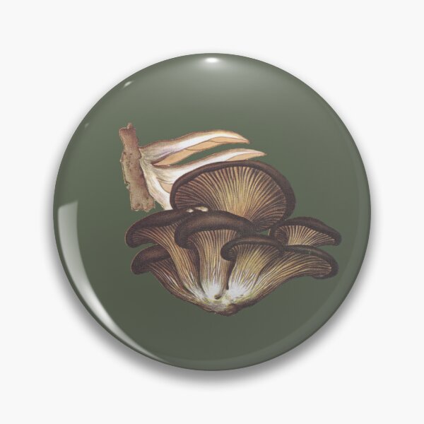 Item preview, Mushroom Vintage Scientific Illustration (Pleurotus Ostreatus) designed and sold by Chricrou-eddie.