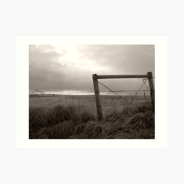 Caught Art Print