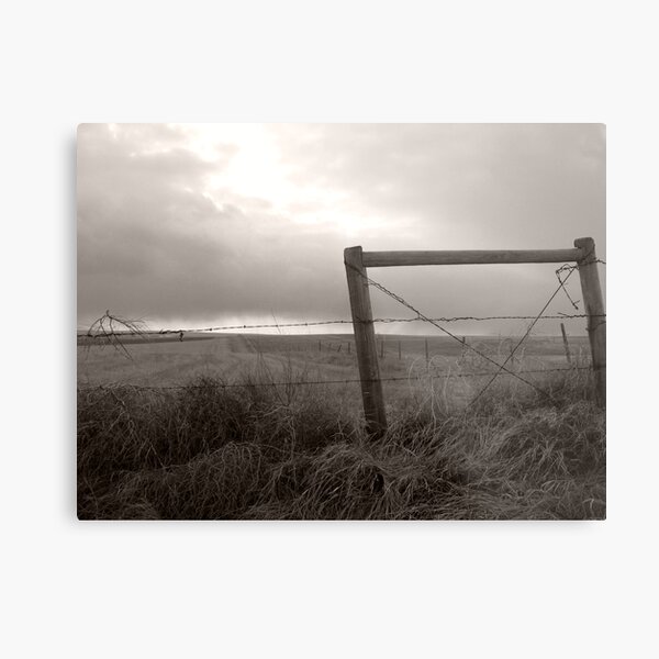 Caught Metal Print