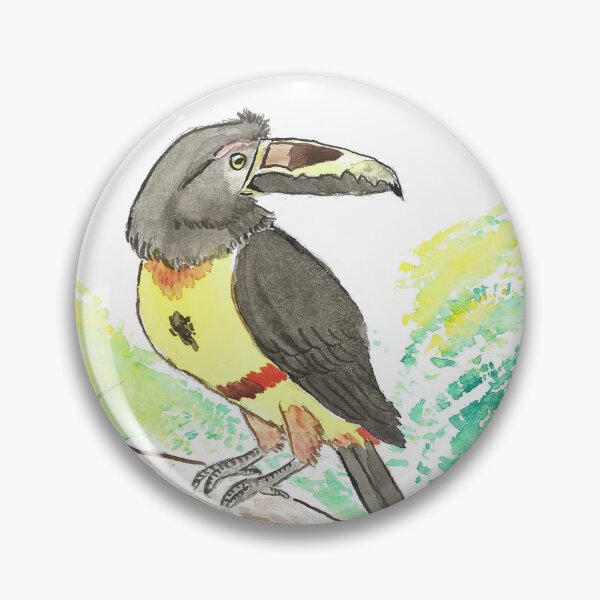 Item preview, collared toucan designed and sold by Carmencita079.