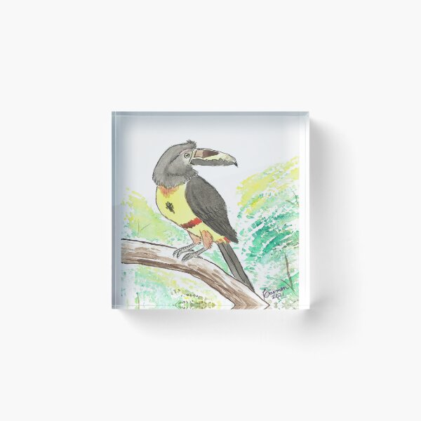 Item preview, collared toucan designed and sold by Carmencita079.