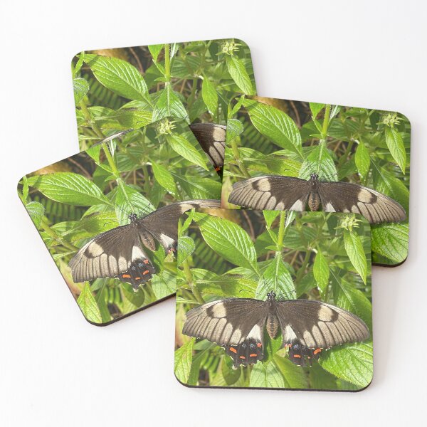 Item preview, Papilio Aegeus Butterfly designed and sold by Stacey Maree Steele.
