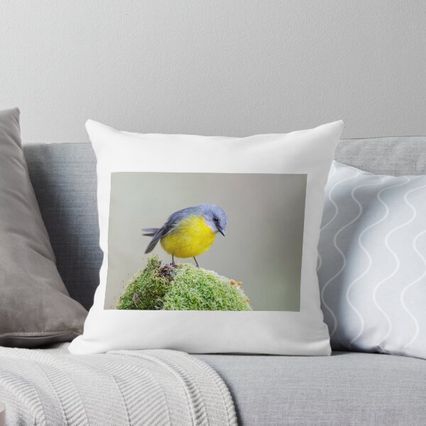 Aperçu de l'œuvre Merle jaune de l'Est créée et vendue par BirdsofMelb.