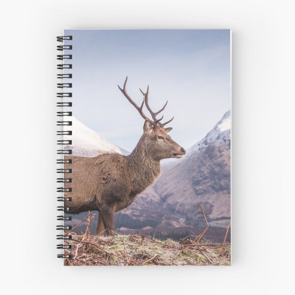 Item preview, The Monarch of Glen Etive #5 designed and sold by ccullen222.