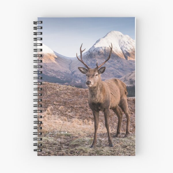 Item preview, The Monarch of Glen Etive #4 designed and sold by ccullen222.