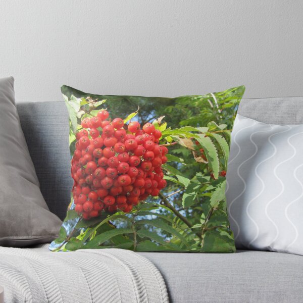 Item preview, Red rowan clusters designed and sold by designer437.