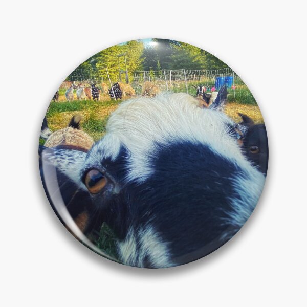Item preview, Goats Calling designed and sold by Cody  Johansen.
