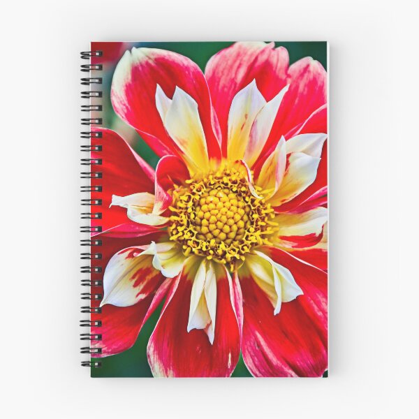 Item preview, Dahlia designed and sold by Elzbieta Fazel.
