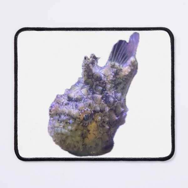 Item preview, PSL designed and sold by emarinelife.