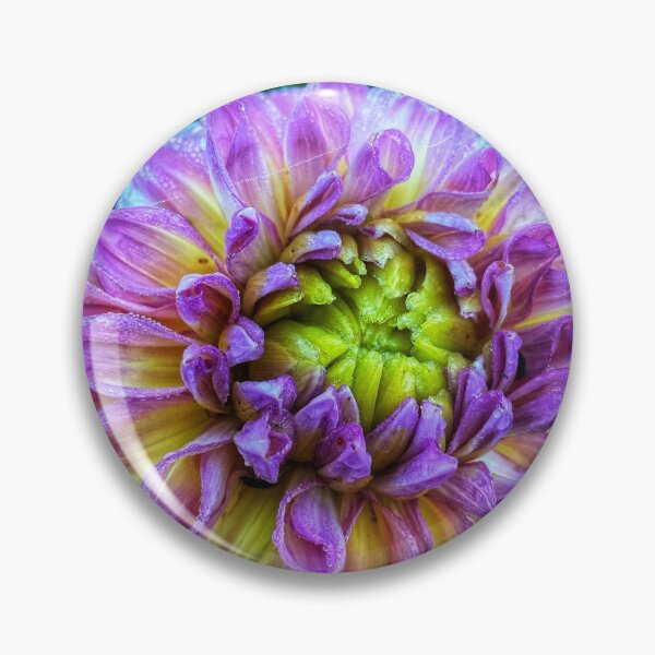 Item preview, New Seedling Dahlia designed and sold by Cody  Johansen.