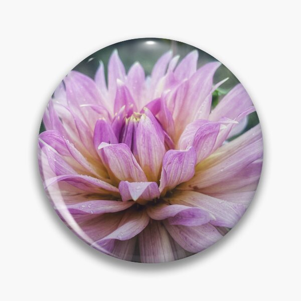 Item preview, Sandia Stargazer designed and sold by Cody  Johansen.