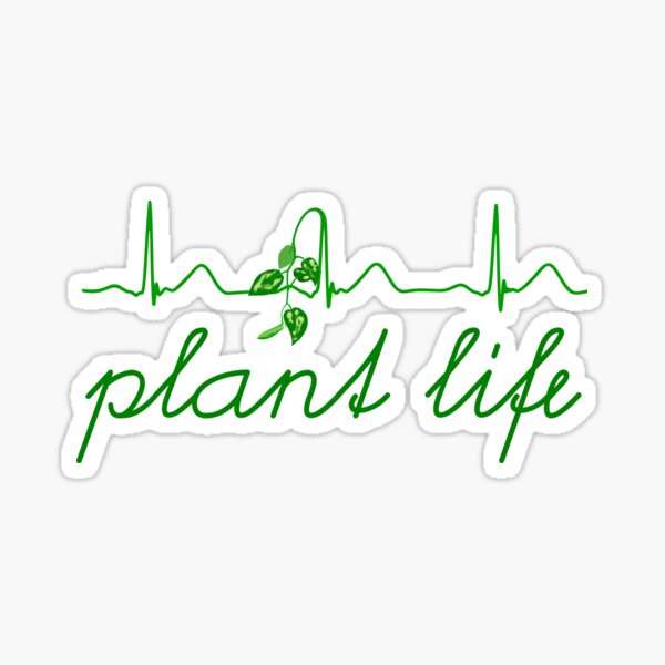 Plant life pothos heartbeat Sticker