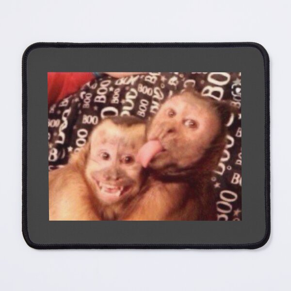 Item preview, Monkeys being silly designed and sold by zulumiluki.