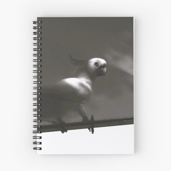 Item preview, Shadowland designed and sold by Annalucia.