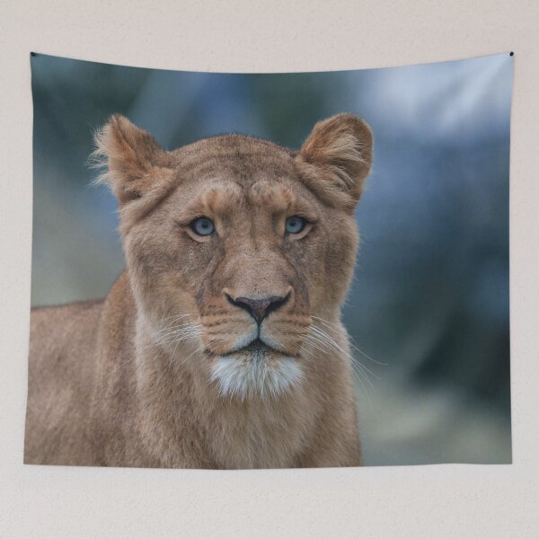 Item preview, The Blue-Eyed Lioness designed and sold by rawshutterbug.