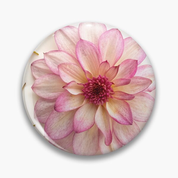 Item preview, Pink Dahlias floral Photo Texture designed and sold by patterncrow.