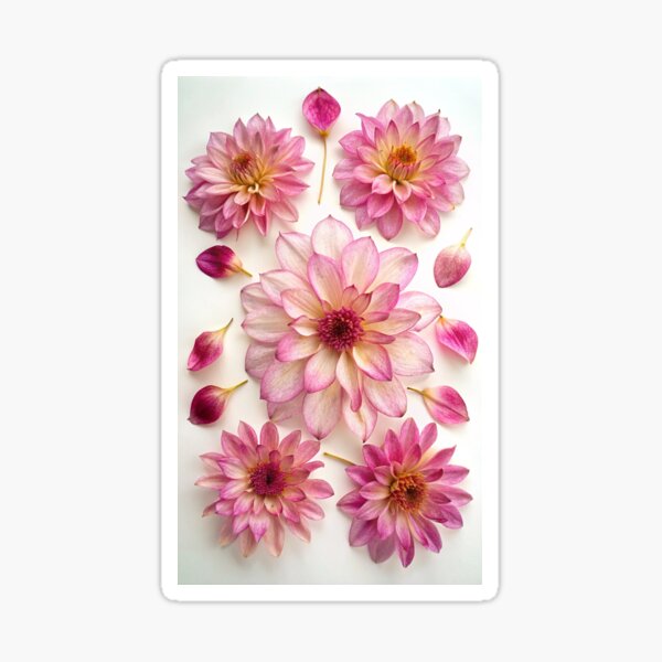 Item preview, Pink Dahlias floral Photo Texture designed and sold by patterncrow.