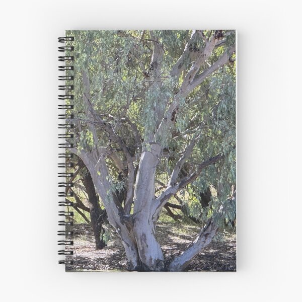 Item preview, Trees On the Banks of the Warrego designed and sold by ComicJo.
