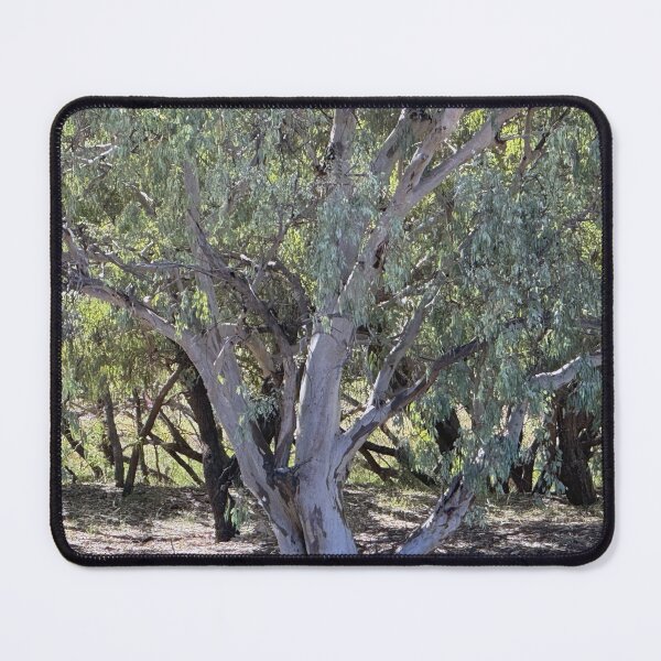 Item preview, Trees On the Banks of the Warrego designed and sold by ComicJo.
