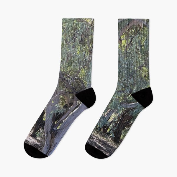 Item preview, Trees On the Banks of the Warrego designed and sold by ComicJo.