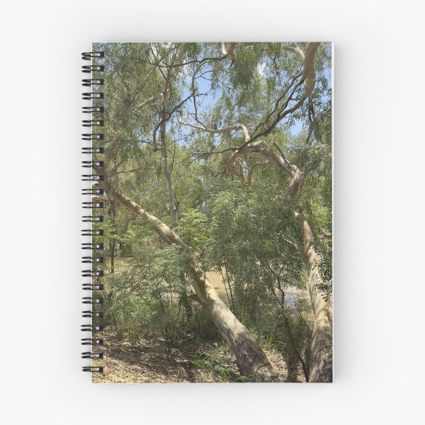 Item preview, Bollon a Natural Oasis - no traffic - no fuss - no bother designed and sold by ComicJo.