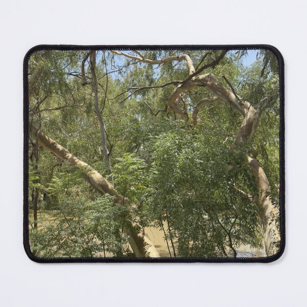 Item preview, Bollon a Natural Oasis - no traffic - no fuss - no bother designed and sold by ComicJo.