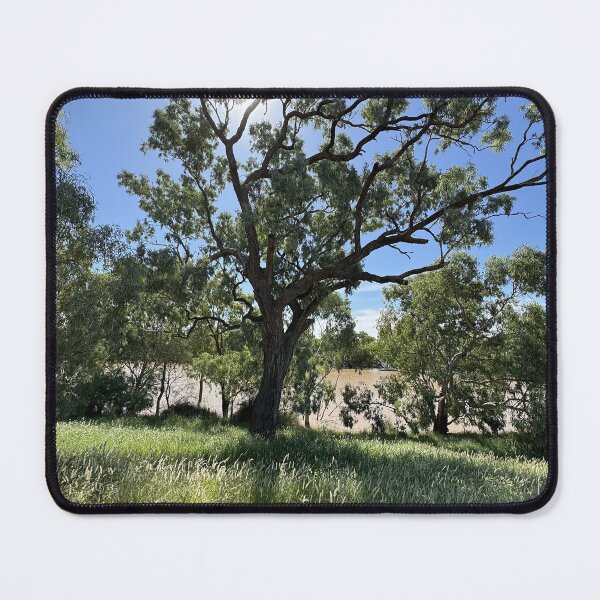 Item preview, Cunnamulla Trees Along the Warrego River designed and sold by ComicJo.