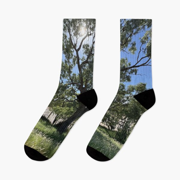 Item preview, Cunnamulla Trees Along the Warrego River designed and sold by ComicJo.