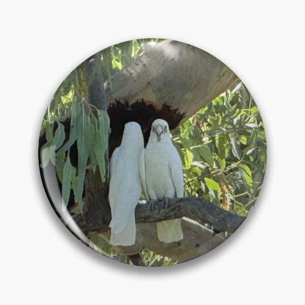 Item preview, White Cockatoos in a Cunnamulla Tree designed and sold by ComicJo.