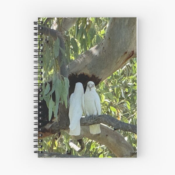 Item preview, White Cockatoos in a Cunnamulla Tree designed and sold by ComicJo.