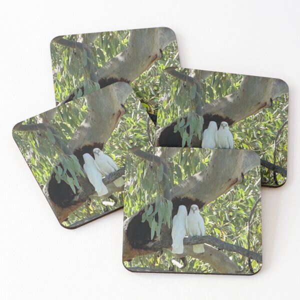 Item preview, White Cockatoos in a Cunnamulla Tree designed and sold by ComicJo.