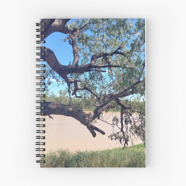 Item preview, Beautiful Warrego - Lined With Trees designed and sold by ComicJo.