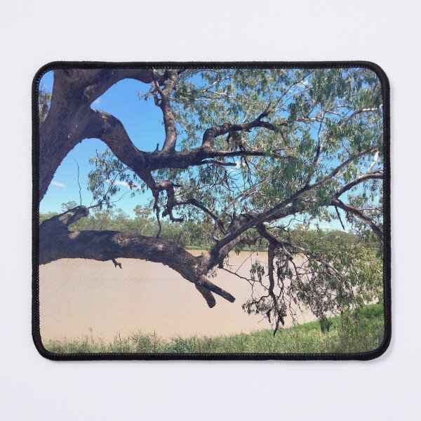 Item preview, Beautiful Warrego - Lined With Trees designed and sold by ComicJo.
