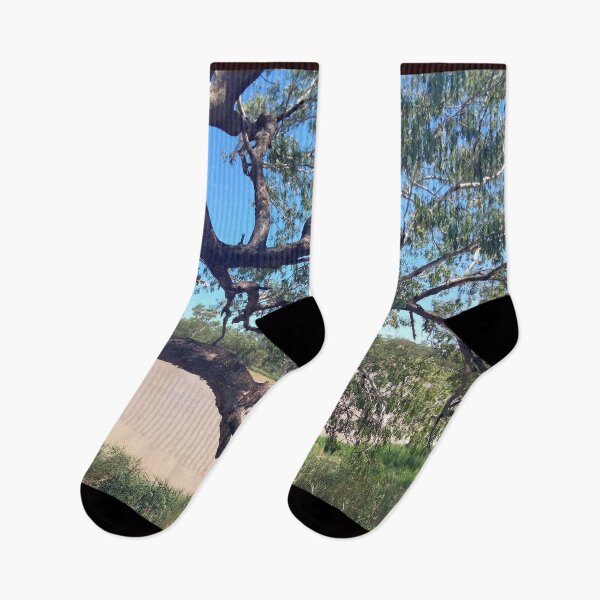 Item preview, Beautiful Warrego - Lined With Trees designed and sold by ComicJo.