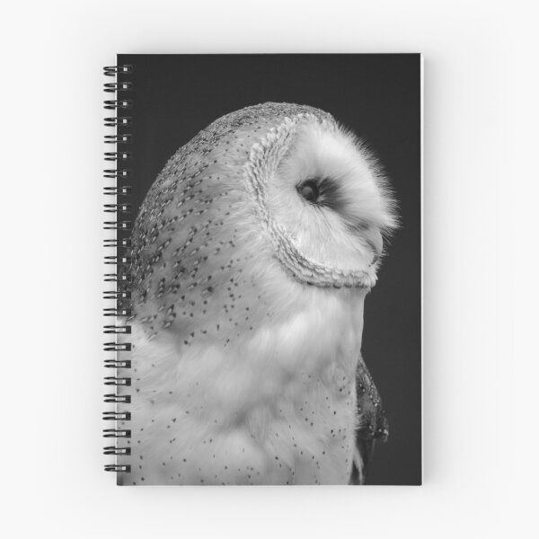 Item preview, Barn Owl designed and sold by clgcreativearts.