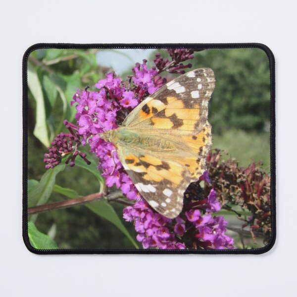 Item preview, Vanessa cardui - Painted Lady Butterfly On Buddlea designed and sold by lezvee.