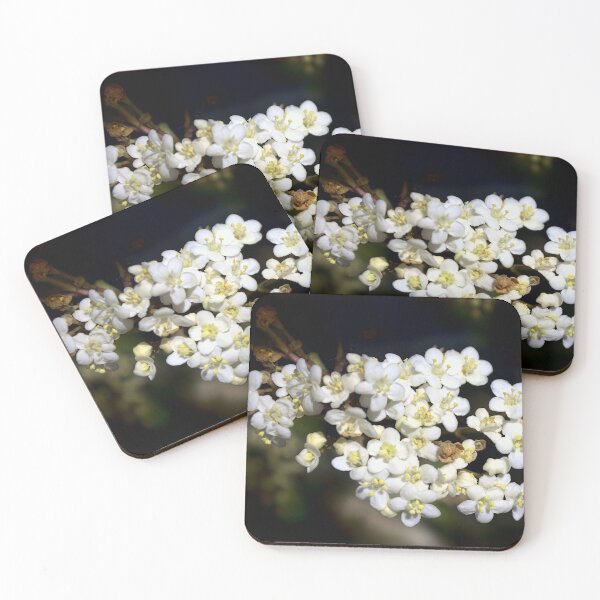 Item preview, Viburnum Blooms designed and sold by MercerImages.