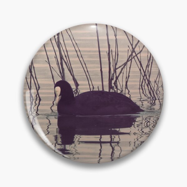 Item preview, Coot at dawn designed and sold by cglightNingART.