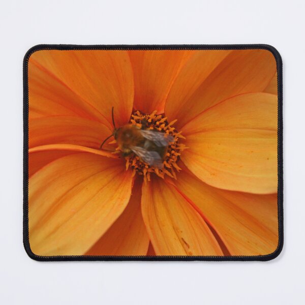 Item preview, Nectar Points Available Here designed and sold by RedHillDigital.