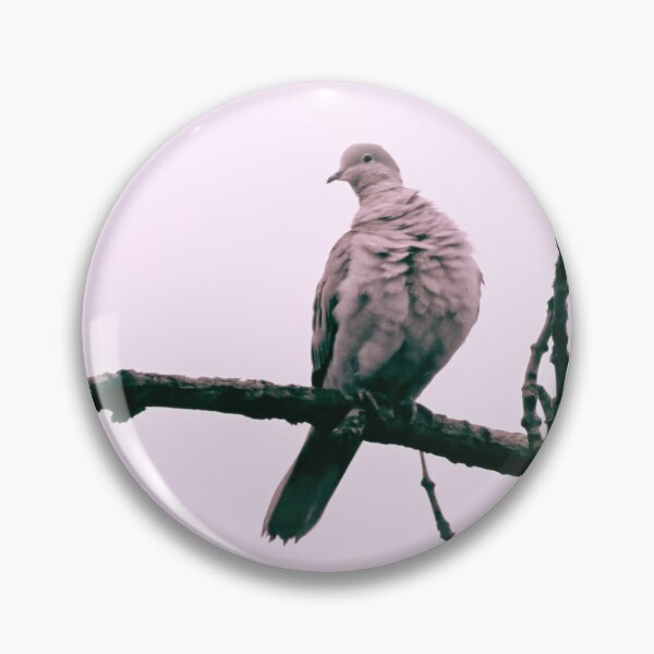 Item preview, Turkish dove designed and sold by cglightNingART.