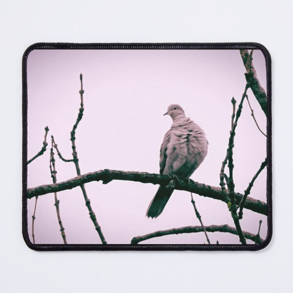 Item preview, Turkish dove designed and sold by cglightNingART.