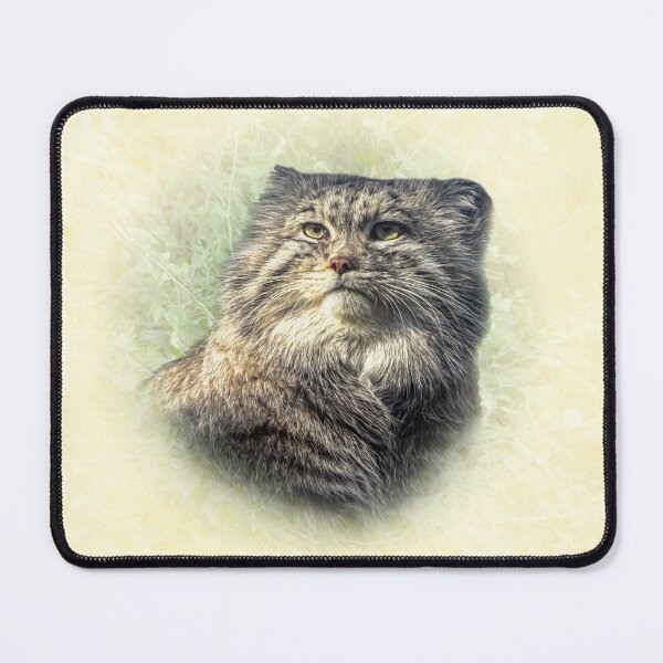 Item preview, Manul-Pallas's cat designed and sold by Guardi71.