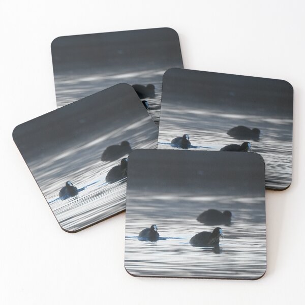 Item preview, Coots at dawn designed and sold by cglightNingART.