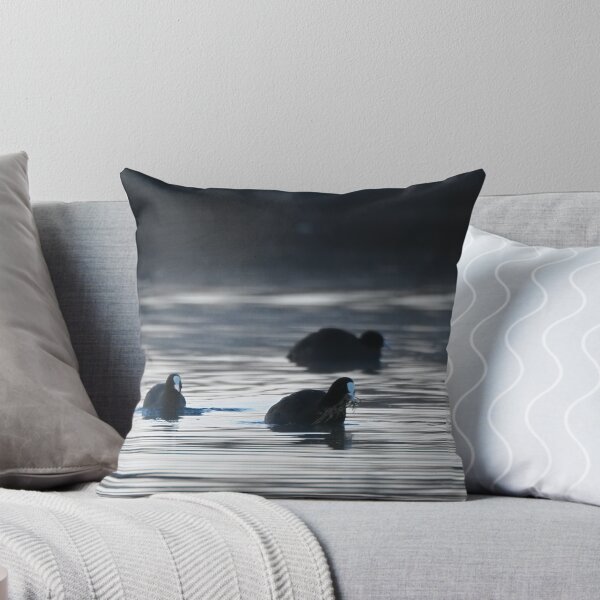 Item preview, Coots at dawn designed and sold by cglightNingART.