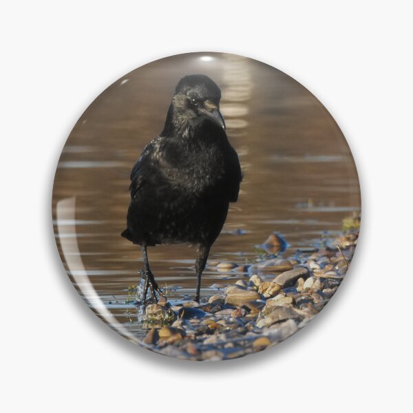 Item preview, Carrion crow by the water designed and sold by cglightNingART.