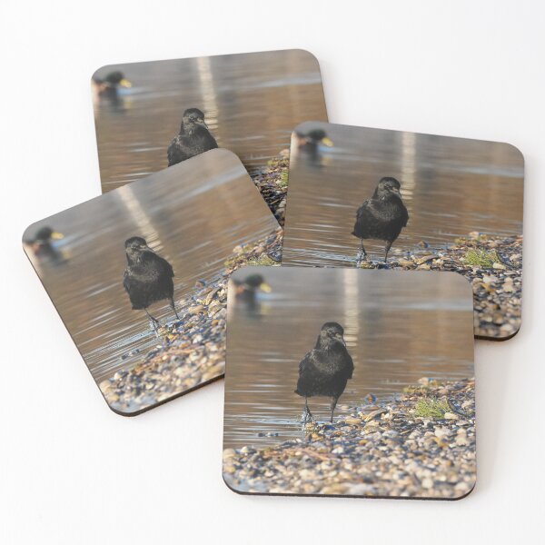 Item preview, Carrion crow by the water designed and sold by cglightNingART.