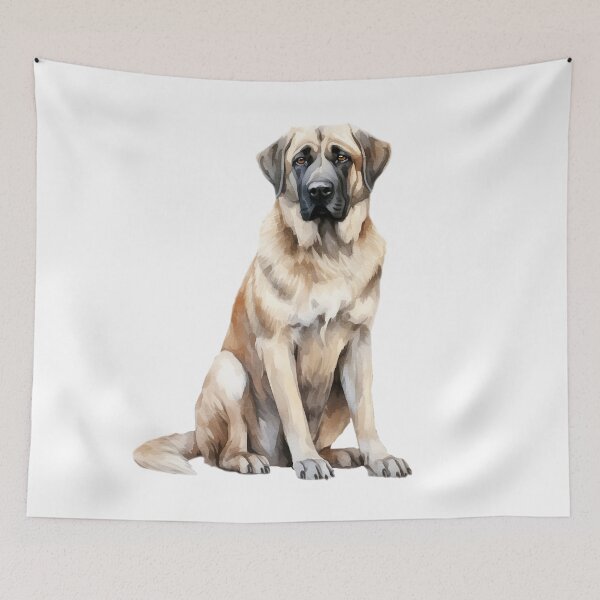 Aperçu de l'œuvre Kangal best friend créée et vendue par DavidBriot.