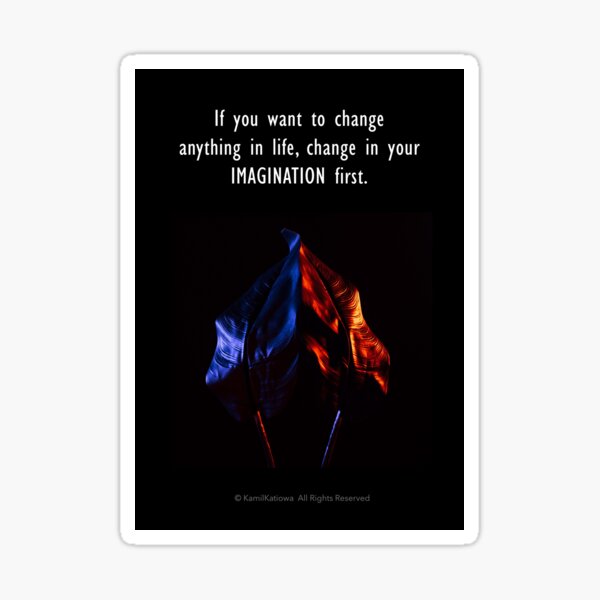 If you want to change anything in life, change in your IMAGINATION first. Sticker