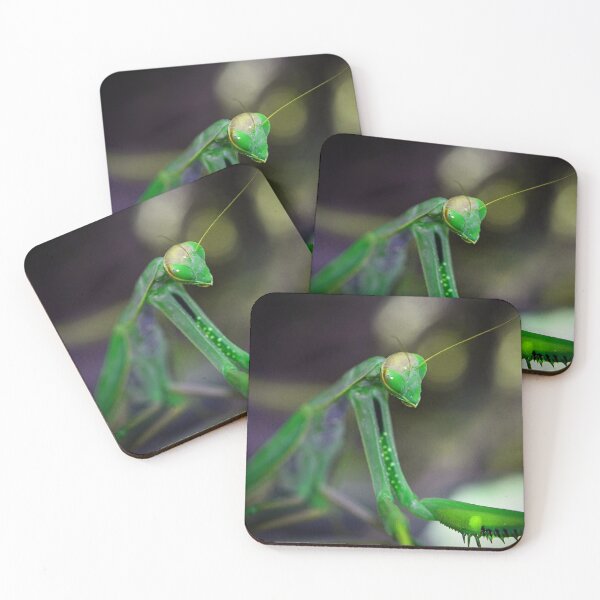 Item preview, Green Mantis (MKW-I.34) designed and sold by Katrina Morgan.